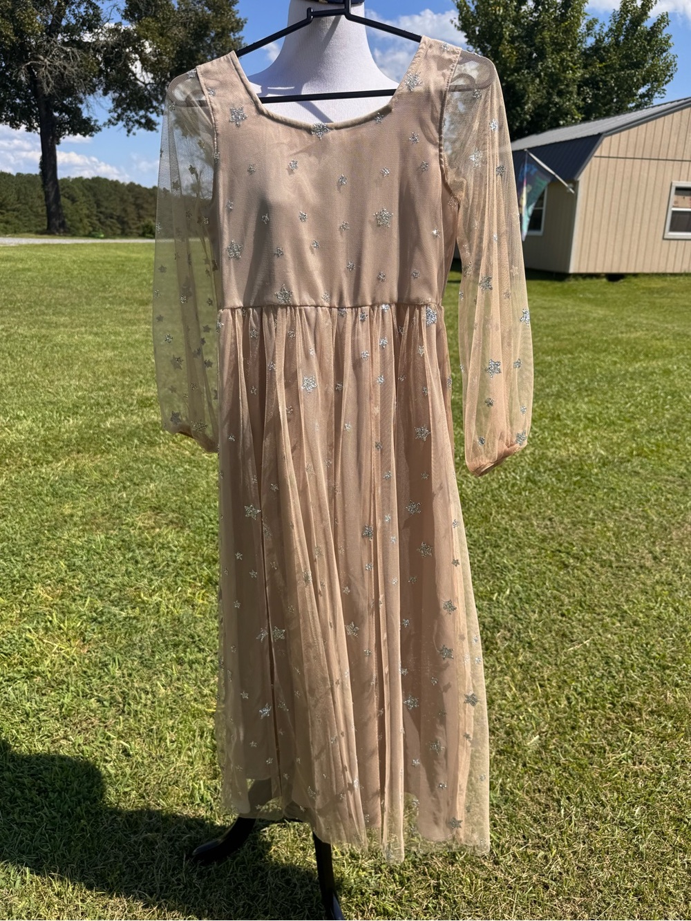 Girls' Mia Joy Sparkle Mesh Long Sleeve Dress - Cream